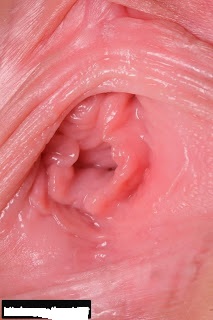 anh sex dep, anh sex lon con trinh